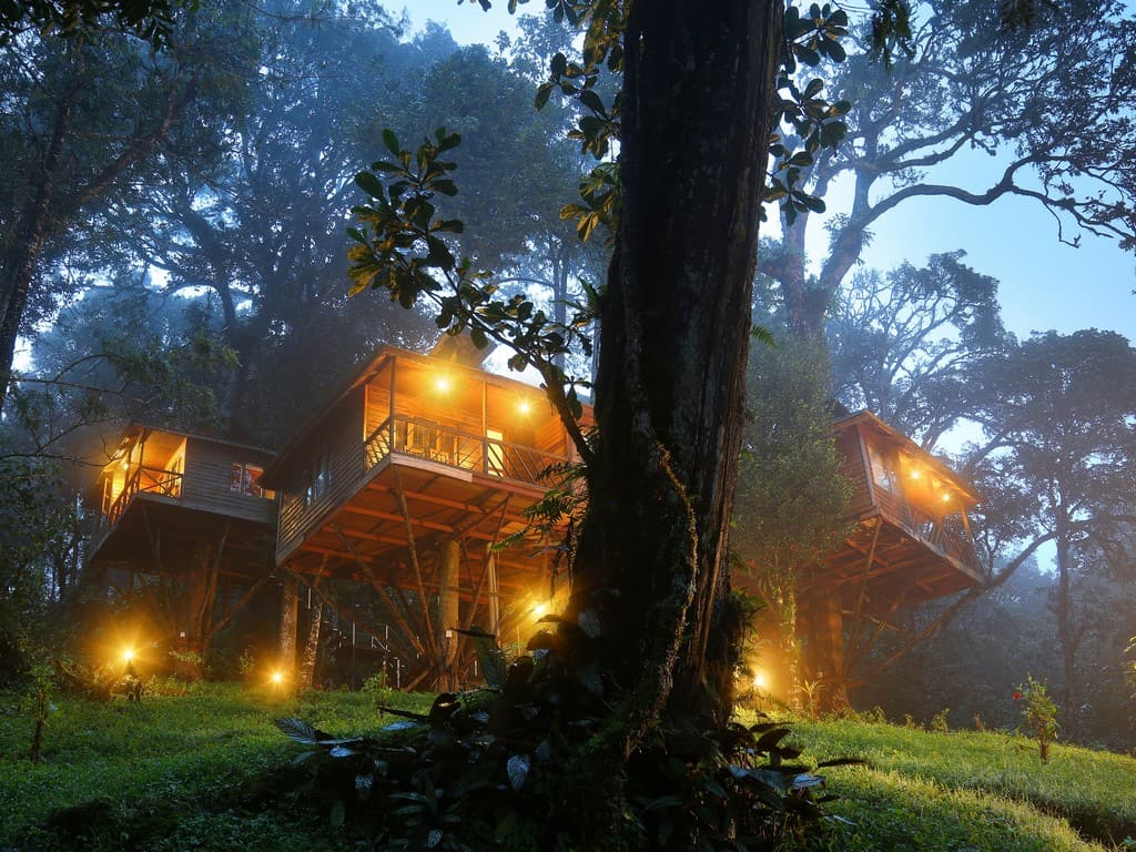 naturezone-jungle-resort-munnar